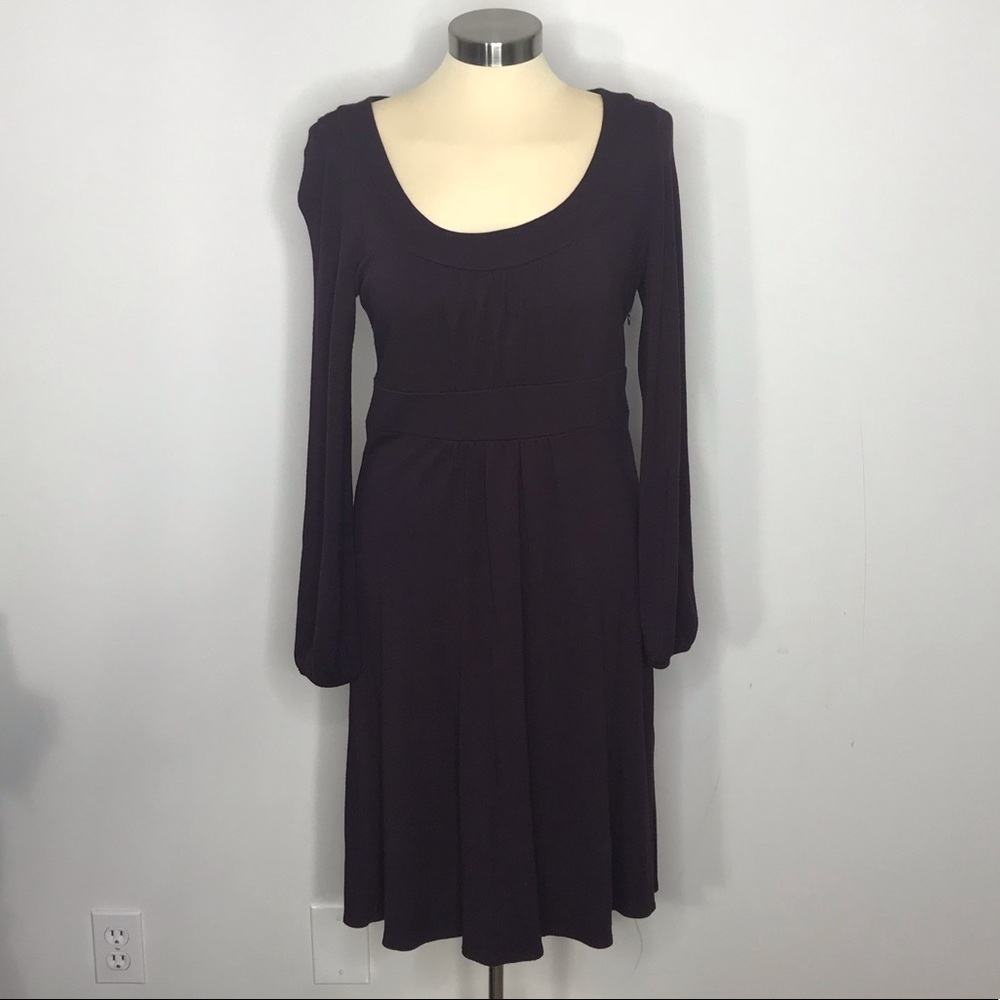 Loft Purple Long Sleeve Dress